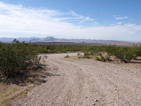 Whitney Pass Road Campsites