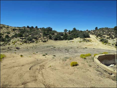 Whitney Pass Road Campsites