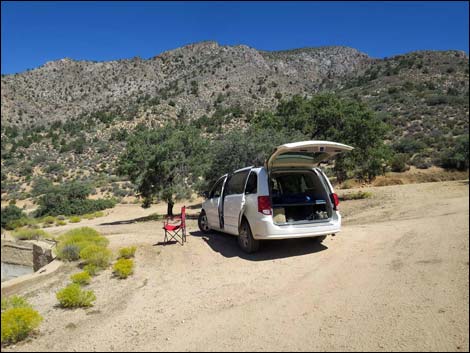 Whitney Pass Road Campsites