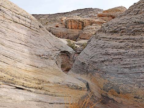 Doodlebug Arch