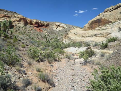 Doodlebug Arch