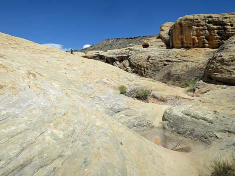 Doodlebug Arch