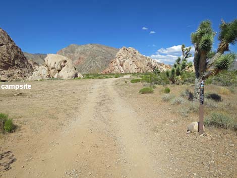 Doodlebug Arch