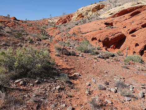 Doodlebug Canyon