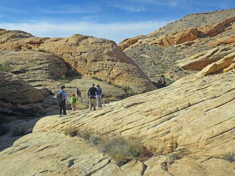 Doodlebug Arch