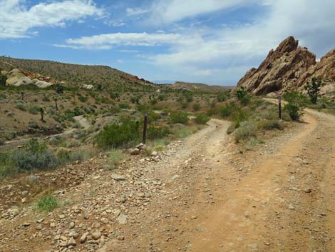 Doodlebug Canyon