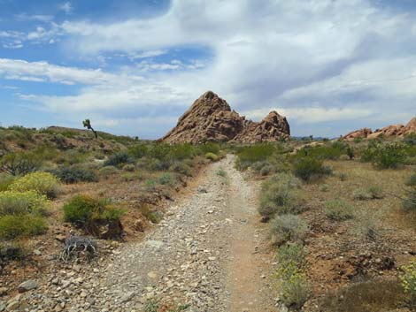 Doodlebug Canyon