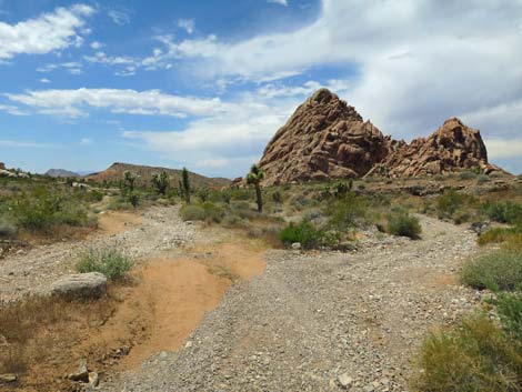 Doodlebug Canyon