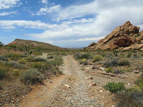 Doodlebug Canyon