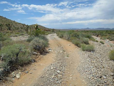 Doodlebug Canyon