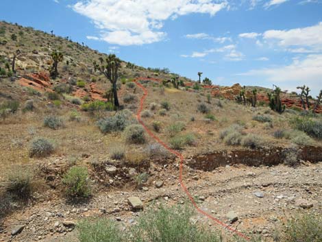 Doodlebug Canyon