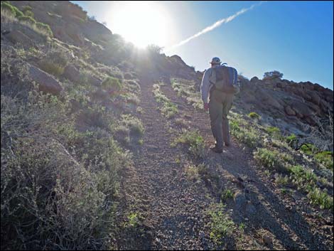 Gold Butte Peak