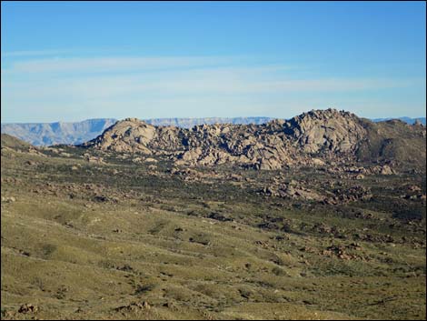 Gold Butte Peak