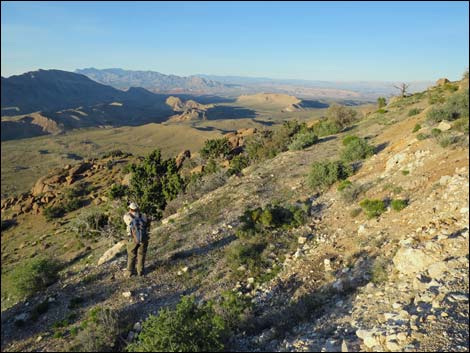 Gold Butte Peak