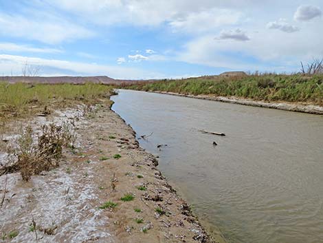 Gentry Ranch