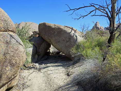 Grapevine Loop