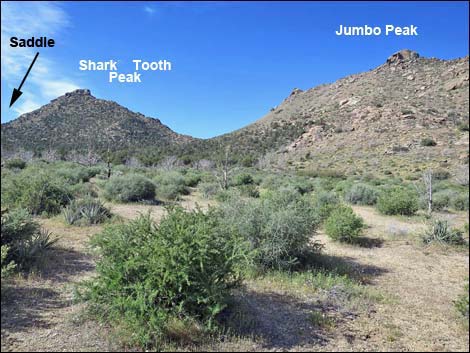 Jumbo Springs Wilderness Area