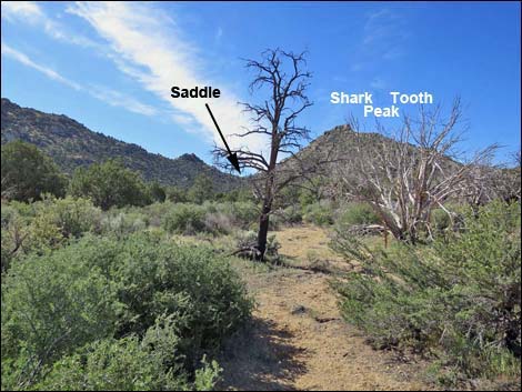 Jumbo Springs Wilderness Area