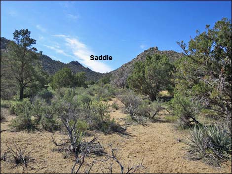 Jumbo Springs Wilderness Area