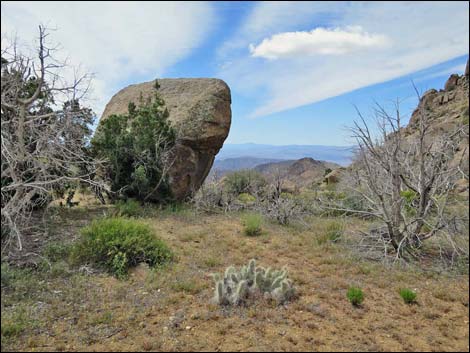 Jumbo Springs Wilderness Area