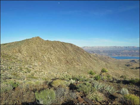 Jumbo Springs Wilderness