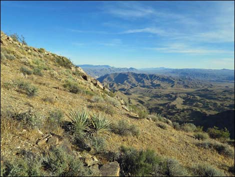 Jumbo Springs Wilderness