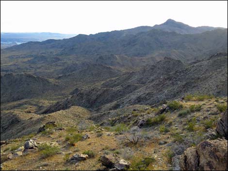 Jumbo Springs Wilderness