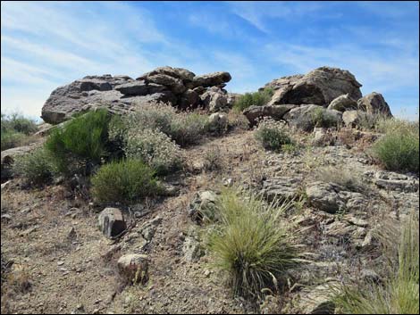 Jumbo Springs Wilderness Area