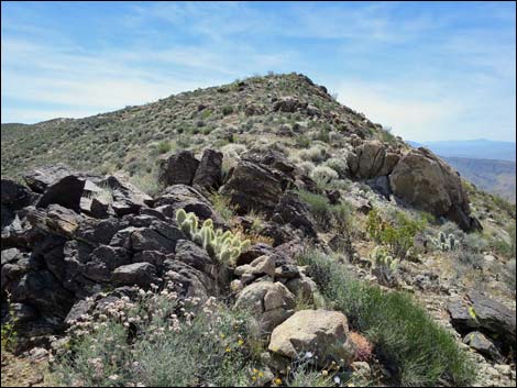 Jumbo Springs Wilderness