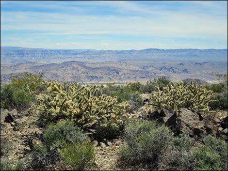 Jumbo Springs Wilderness