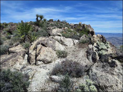 Jumbo Springs Wilderness