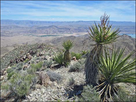 Jumbo Springs Wilderness