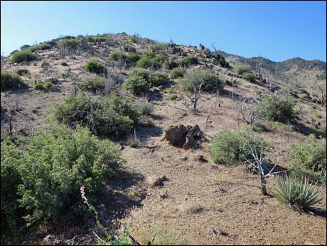 Mica Peak