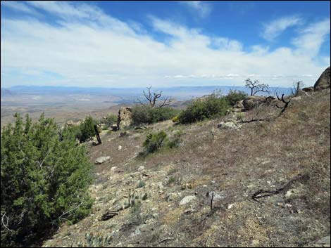 Mica Peak