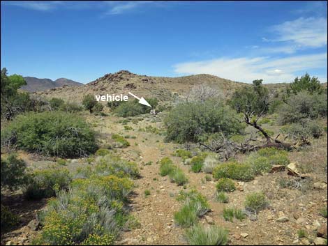 Mica Peak