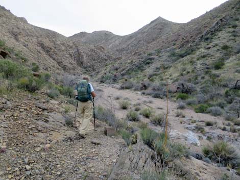 Million Hills Wash