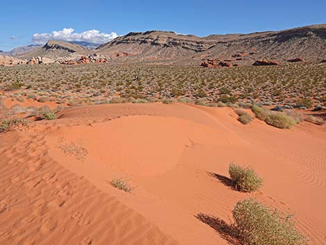 Mud Wash Dunes