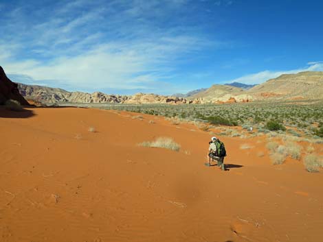 Mud Wash Dunes