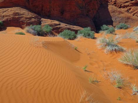 Mud Wash Dunes