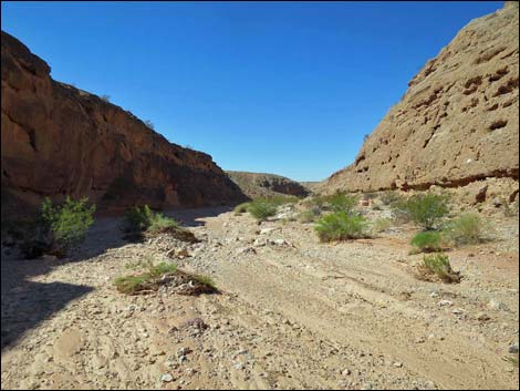 Mud Wash Narrows