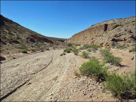 Mud Wash Narrows