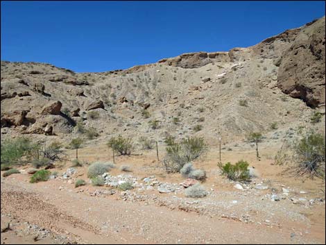 Mud Wash Narrows