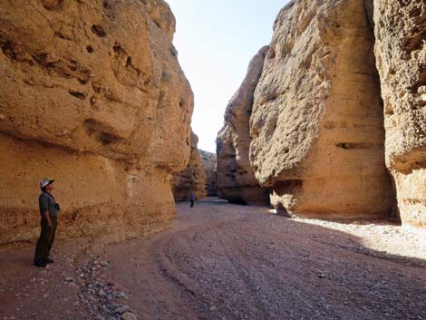 Mud Wash Narrows