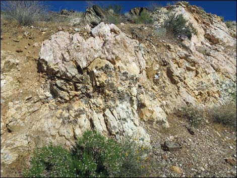 Nevada Mica Mine