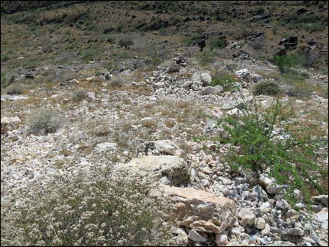 Nevada Mica Mine