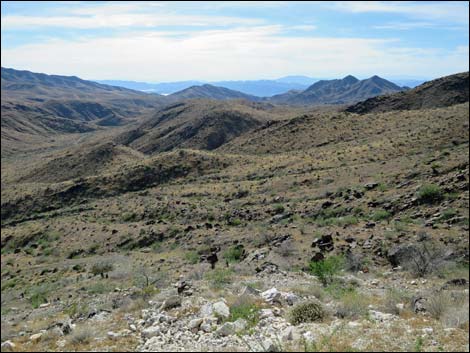 Nevada Mica Mine