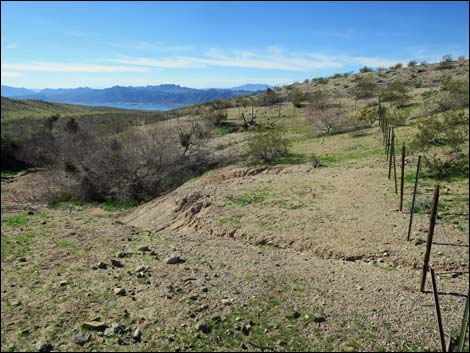 Agua Chiquita Spring