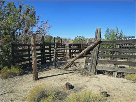 Grapevine Spring Corral