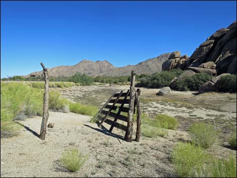 Grapevine Spring Corral