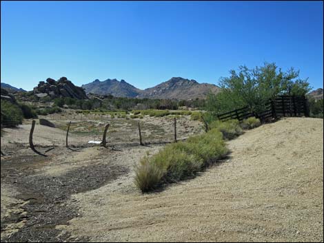 Grapevine Spring Corral